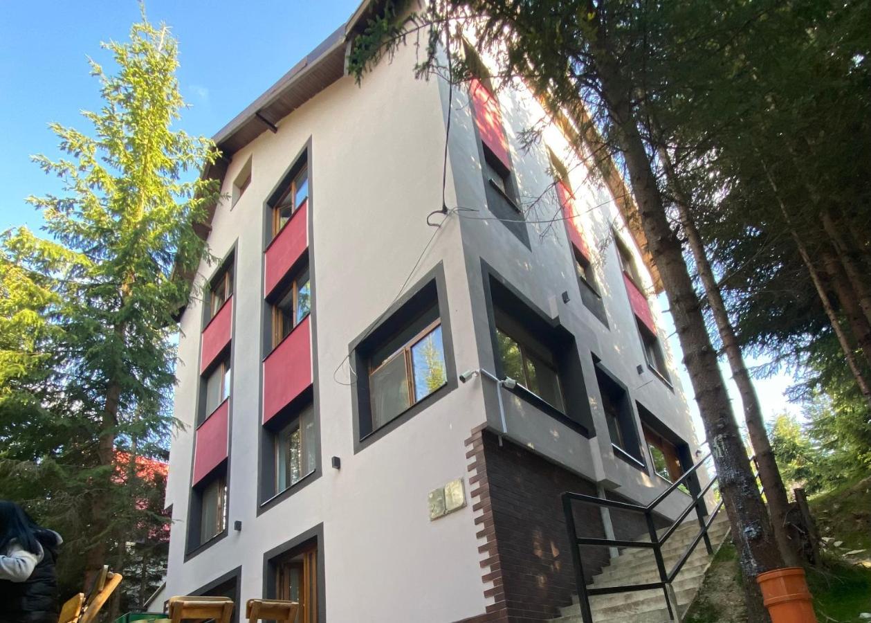 Altitude Guest House Ranca Bagian luar foto